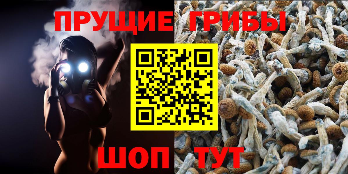 Галлюциногенные грибы мухоморы Красноармейск