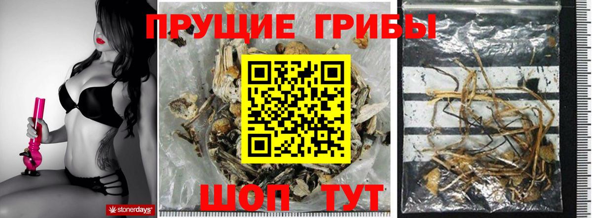 Красноармейск  Галлюциногенные грибы Magic Shrooms  Псилоцибиновые грибы Psilocybe  Вход с VPN 